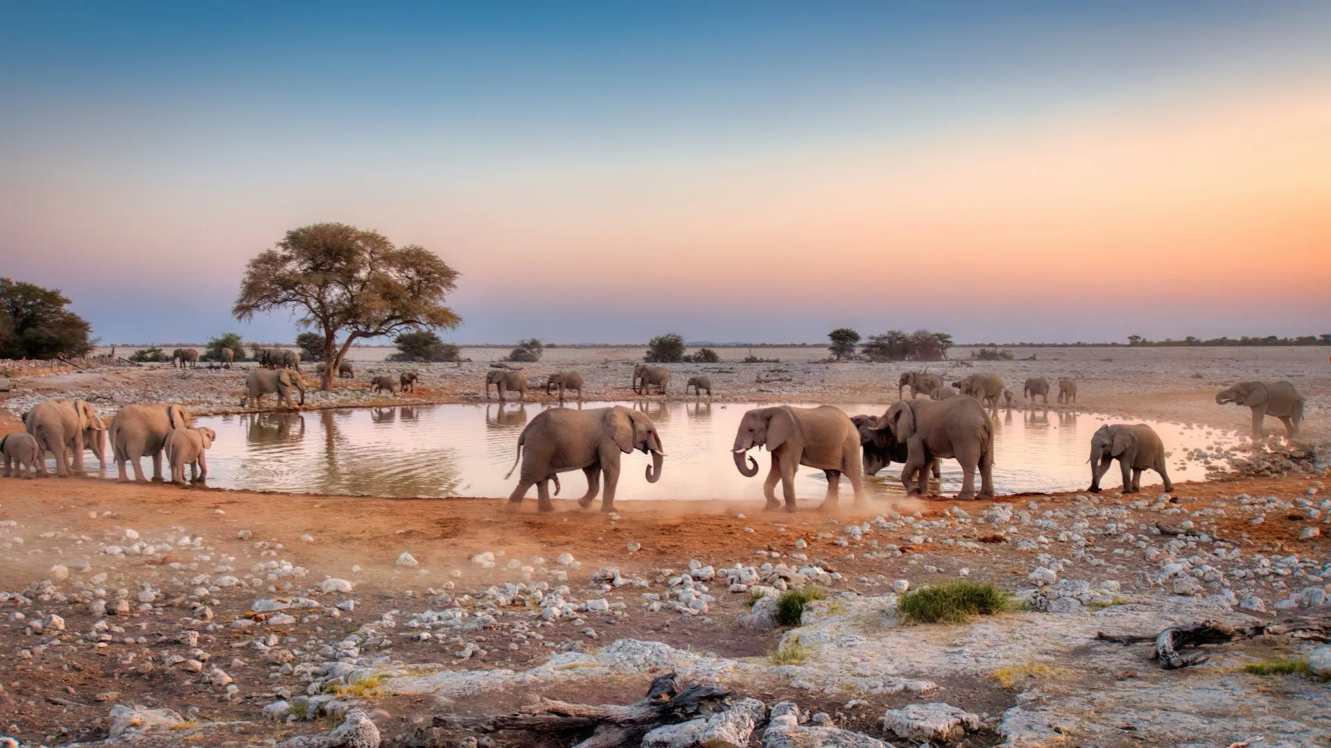 Etosha